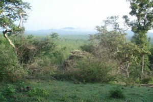 Bandipur