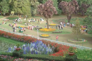 Blomsterfestival i Ootys Botaniske Have