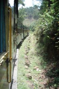 Toytrain - Ooty to Coonoor